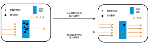 1630635952266987.png image.png