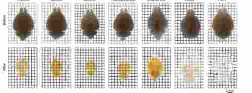 1630638261669602.jpg 1630638138(1).jpg