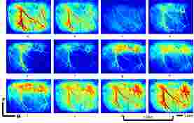 1630638394337328.jpg 1630638326(1).jpg