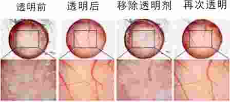 1630639121184410.jpg 1630639095(1).jpg