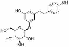Dihydroresveratrol 3-O-glucoside100432-87-9