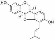 Phaseollidin37831-70-2