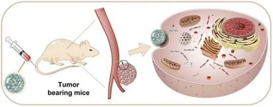 1631241901479154.png image.png