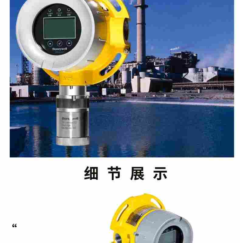 霍尼韦尔FGM-6100 RAEGuard 3可燃气体探测器
