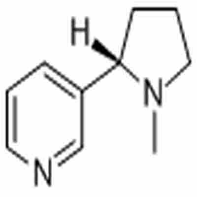 Nicotine标准品