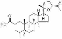 Richenoic acid134476-74-7