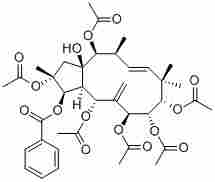 Jatrophane 2210108-86-4