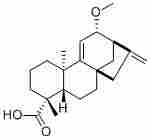 12α-Methoxygrandiflorenic acid135383-94-7