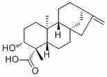 ent-3β-Hydroxykaur-16-en-19-oic acid66556-91-0