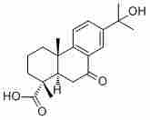 15-Hydroxy-7-oxodehydroabietic acid95416-25-4