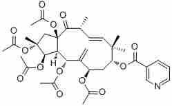 Jatrophane 1210108-85-3