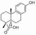 13-Hydroxy-8,11,13-podocarpatrien-18-oic acid61597-83-9