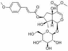 Durantoside II53526-66-2