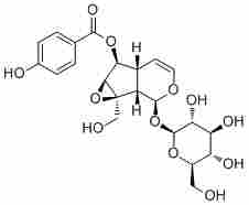 Catalposide6736-85-2