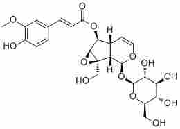 6-Feruloylcatalpol770721-33-0