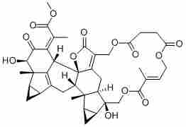 Shizukaol B142279-40-1