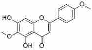 Pectolinarigenin520-12-7