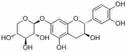 Catechin 7-O-xyloside42830-48-8