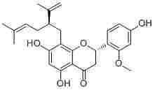 Leachianone A97938-31-3