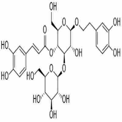 Plantamajoside标准品
