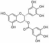 Epigallocatechin gallate989-51-5