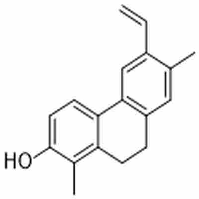 Juncuenin A标准品