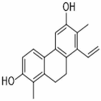 Juncuenin B标准品