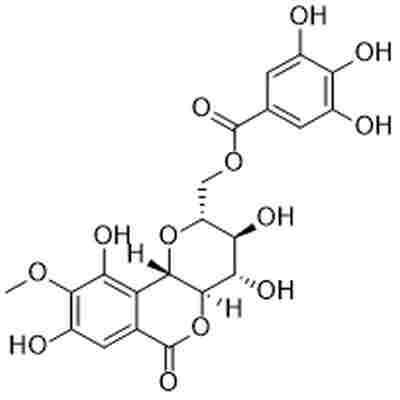 11-O-Galloylbergenin标准品