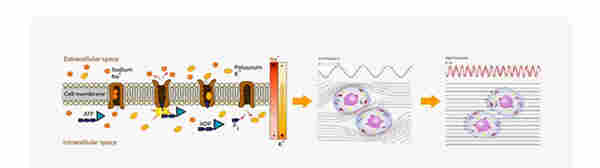 发烧大师怎么样