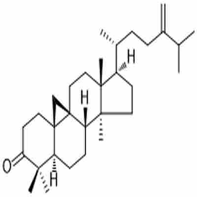 24-Methylenecycloartanone标准品