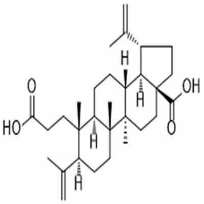 3,4-Secolupa-4(23),20(29)-diene-3,28-dioic acid标准品