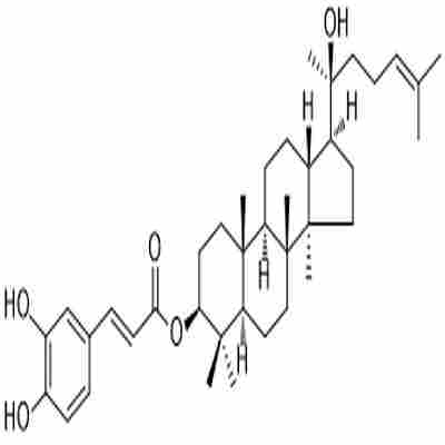 Dammarenediol II 3-O-caffeate标准品