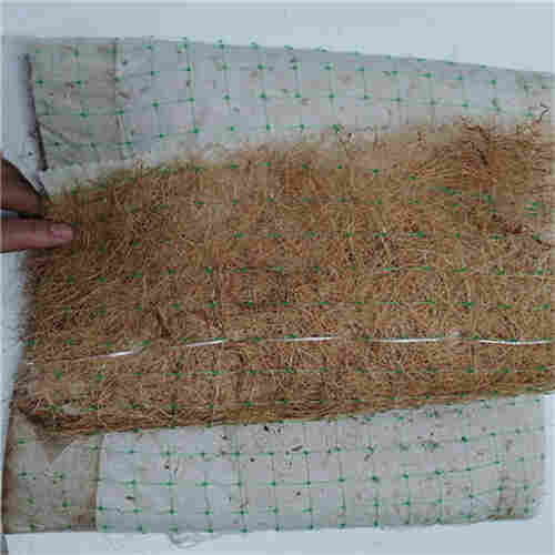 陕西椰丝网(纤维网)
公司2022已更新 陕西椰丝网(纤维网)
公司2022已更新