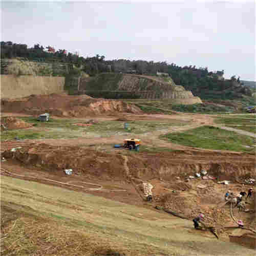 河南(椰丝毯)植生毯公司2022已更新 河南(椰丝毯)植生毯公司2022已更新