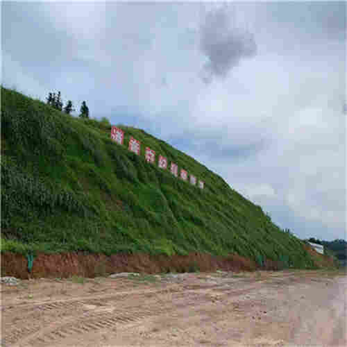 台州(加筋草毯)加筋植草毯公司2022已更新 台州(加筋草毯)加筋植草毯公司2022已更新