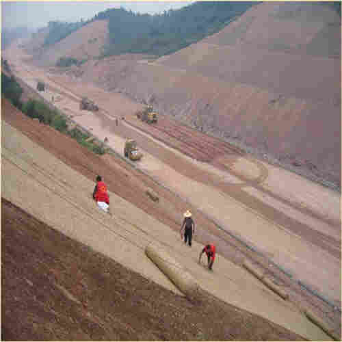 哈尔滨植被毯(水保草毯)厂家发货2022已更新 哈尔滨植被毯(水保草毯)厂家发货2022已更新