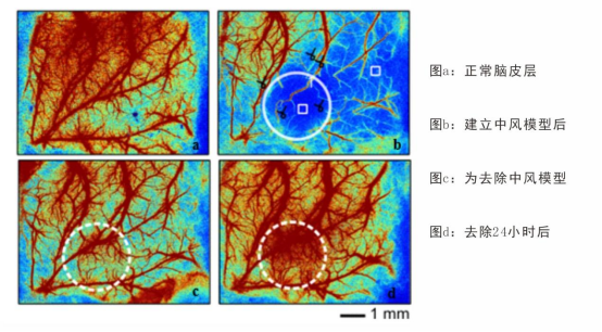 1634628514573902.png image.png