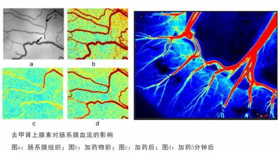 1634628533945840.png image.png