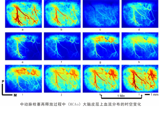 1634628583801797.png image.png