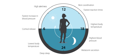 1634629823683968.png image.png