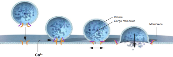 1634630051484178.png image.png