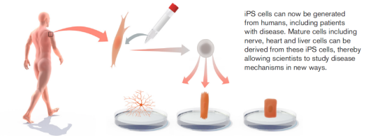 1634630067632332.png image.png