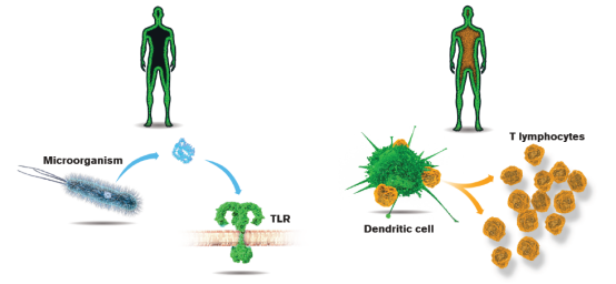 1634630082272799.png image.png