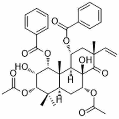 Orthosiphol B标准品