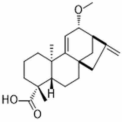 12α-Methoxygrandiflorenic acid标准品