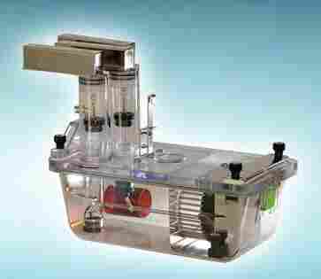 TSE动物能量代谢监测系统PhenoMaster