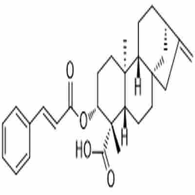 ent-3β-Cinnamoyloxykaur-16-en-19-oic acid标准品
