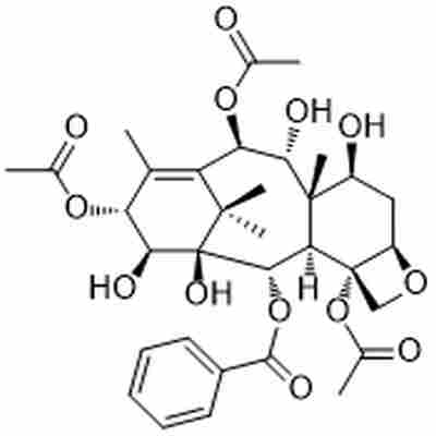 Baccatin VIII标准品