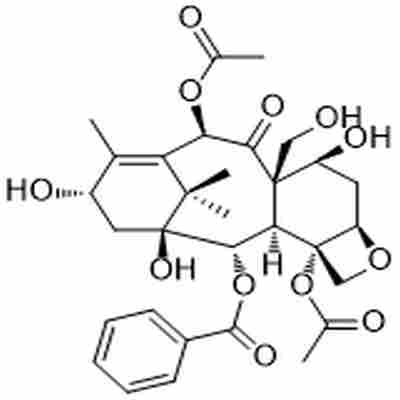 19-Hydroxybaccatin III标准品