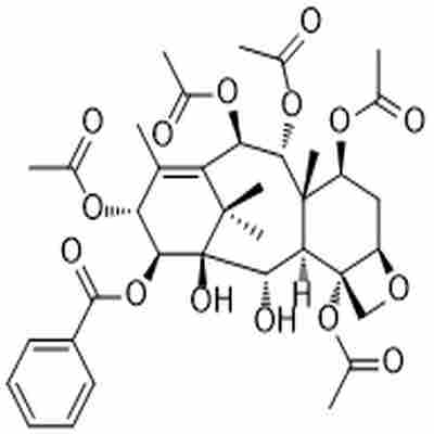 14β-Benzoyloxy-2-deacetylbaccatin VI标准品